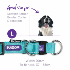 Active Easy-clip Dog Collar - Aqua & Purple -Kazoo Store Kazoo 11308 11311 ActiveEasy ClipCollar Aqua Purple L