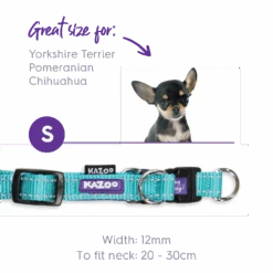 Active Easy-clip Dog Collar - Aqua & Purple -Kazoo Store Kazoo 11308 11311 ActiveEasy ClipCollar Aqua Purple S