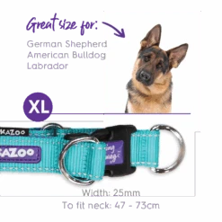 Active Easy-clip Dog Collar - Aqua & Purple -Kazoo Store Kazoo 11308 11311 ActiveEasy ClipCollar Aqua Purple XL