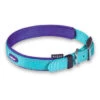 Active Dog Collar - Aqua & Purple -Kazoo Store Kazoo 11320 11323 ActiveCollar Aqua Purple