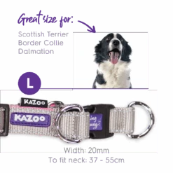 Active Easy-clip Dog Collar - Silver & Pink 20 Active Easy-clip Dog Collar - Silver & Pink -Kazoo Store Kazoo 11324 11327 ActiveEasy ClipCollar Silver Pink L