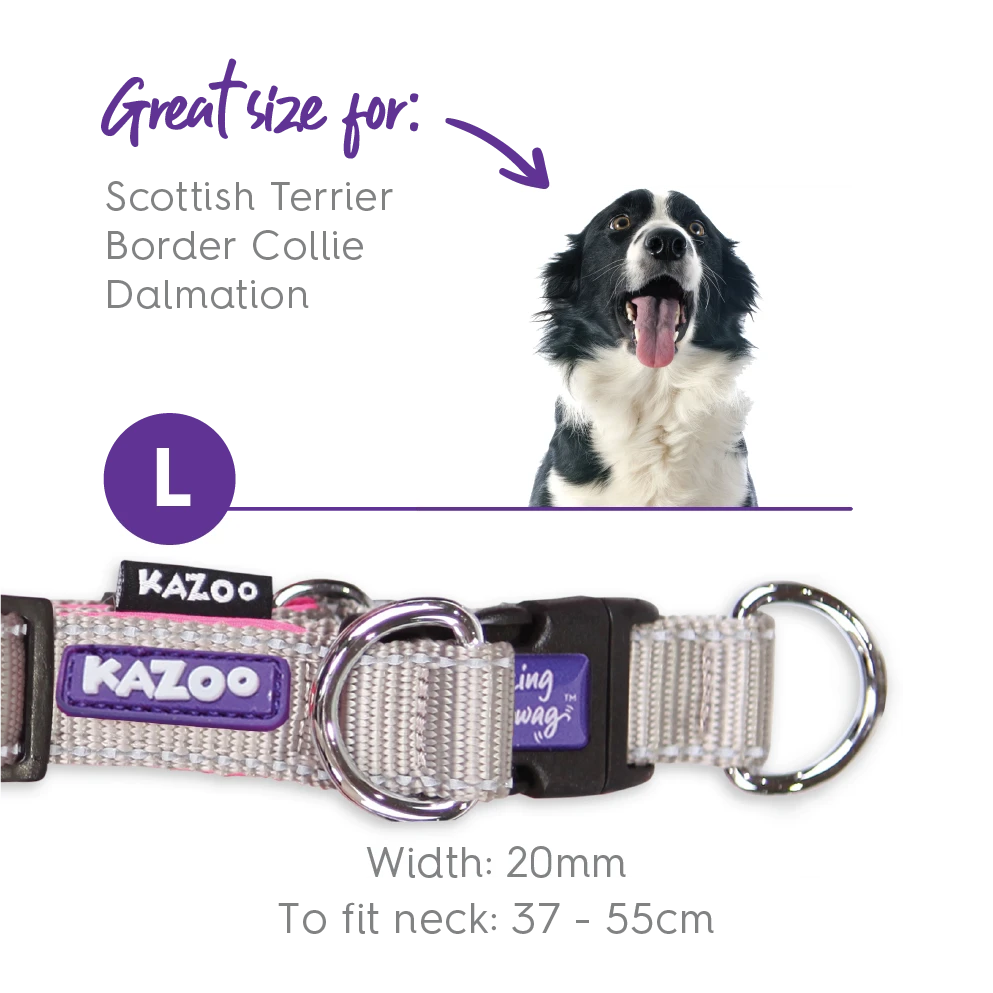 Active Easy-clip Dog Collar - Silver & Pink 11 Active Easy-clip Dog Collar - Silver & Pink - Image 9