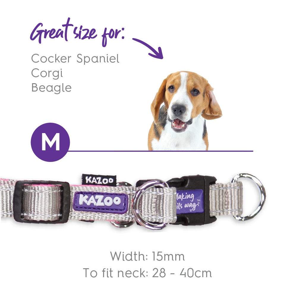 Active Easy-clip Dog Collar - Silver & Pink 9 Active Easy-clip Dog Collar - Silver & Pink - Image 7