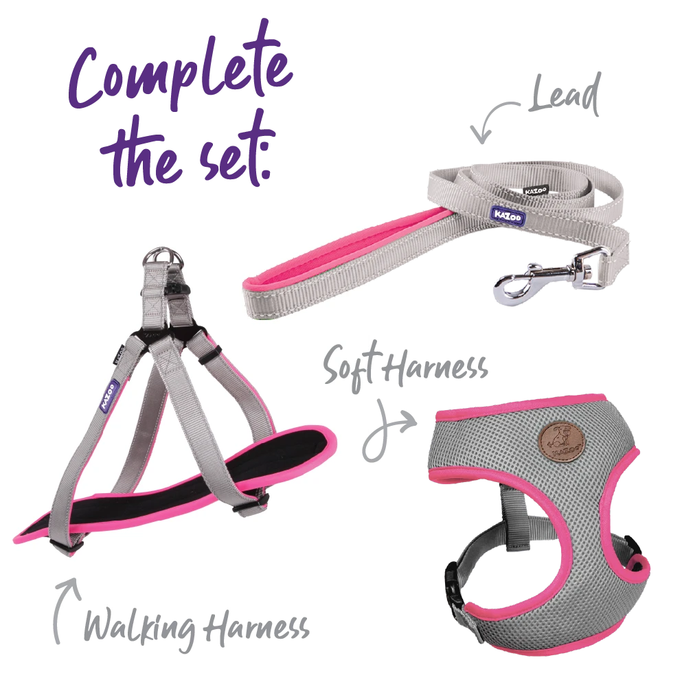 Active Dog Collar - Silver & Pink 7 Active Dog Collar - Silver & Pink - Image 5