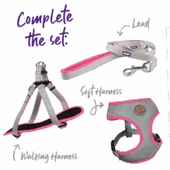 Active Dog Lead - Silver & Pink -Kazoo Store Kazoo 11324 11327 ActiveEasy ClipCollar Silver Pink Set f53c7455 8a44 4548 957e bb61d44c7866