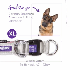 Active Easy-clip Dog Collar - Silver & Pink 21 Active Easy-clip Dog Collar - Silver & Pink -Kazoo Store Kazoo 11324 11327 ActiveEasy ClipCollar Silver Pink XL