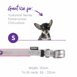 Active Dog Collar - Silver & Pink 16 Active Dog Collar - Silver & Pink -Kazoo Store Kazoo 11328 11331 ActiveCollar SilverPink Sm