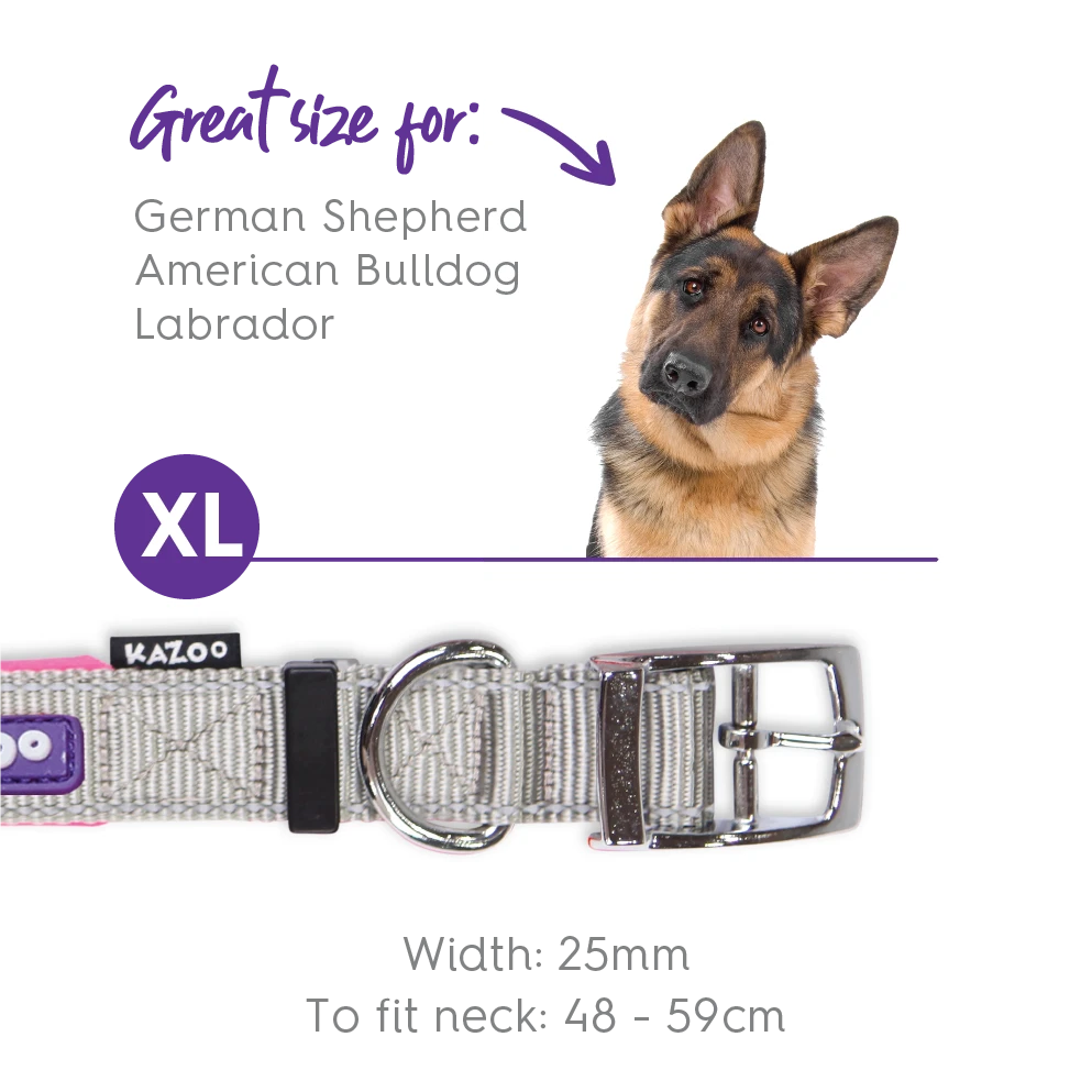 Active Dog Collar - Silver & Pink 11 Active Dog Collar - Silver & Pink - Image 9