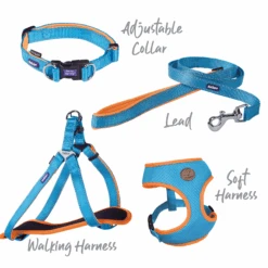 Active Dog Lead - Ocean Sunrise -Kazoo Store Kazoo 11332 11335 ActiveAdjustableColar OceanSunrise Range