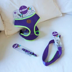 Active Dog Lead - Purple & Lime -Kazoo Store Kazoo 11403 11405 ActiveLead Purple Lime LS1