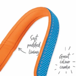 Active Dog Lead - Ocean Sunrise -Kazoo Store Kazoo 11416 11419 ActiveLead OceanSunrise 2