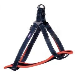 Active Walking Dog Harness - Slate & Orange