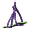 Active Walking Dog Harness - Purple & Lime -Kazoo Store Kazoo 11453 11455 ActiveWalkingHarness Purple Lime