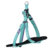 Active Walking Dog Harness - Aqua & Purple -Kazoo Store Kazoo 11456 11458 ActiveWalkingHarness Aqua Purple