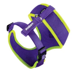 Active Soft Walking Dog Harness - Purple & Lime -Kazoo Store Kazoo 11465 11569 ActiveSoftHarness Purple Lime Back