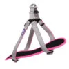 Active Walking Dog Harness - Silver & Pink -Kazoo Store Kazoo 11476 11773 ActiveWalkingHarness Silver Pink