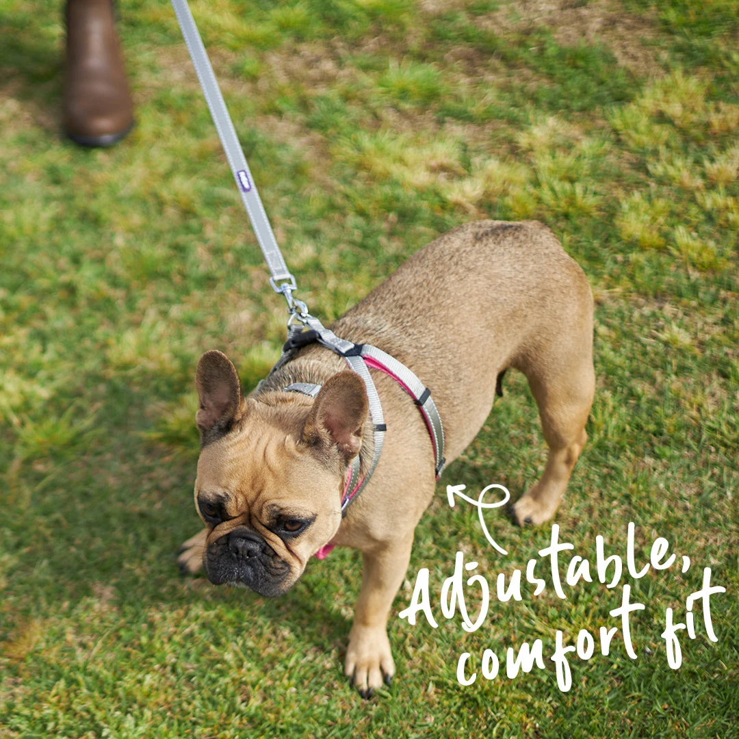 Active Walking Dog Harness - Silver & Pink 12 Active Walking Dog Harness - Silver & Pink - Image 10