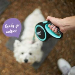 Retractable Dog Lead - 5 Metre - Up To 50kg -Kazoo Store Kazoo 11745 RetractableLead Large Doodles1