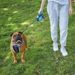 Retractable Dog Lead W/ Poop Bag Dispenser- 5 Metre - Up To 30kg -Kazoo Store Kazoo 11748 RetractableLeadw PoopBagDispenser Medium LS3