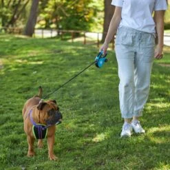 Retractable Dog Lead W/ Poop Bag Dispenser- 5 Metre - Up To 30kg -Kazoo Store Kazoo 11748 RetractableLeadw PoopBagDispenser Medium LS5