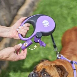 Retractable Dog Lead W/ Poop Bag Dispenser - 8 Metre - Up To 50kg -Kazoo Store Kazoo 11749 RetractableLeadw PoopBagDispenser XL Doodles