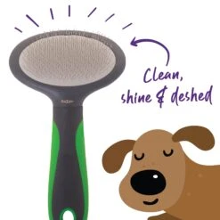 Slicker Brush -Kazoo Store Kazoo 12295 12297 SlickerBrush Doodles1