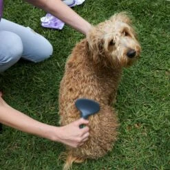 Slicker Brush -Kazoo Store Kazoo 12295 12297 SlickerBrush Medium LS1