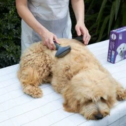 Slicker Brush -Kazoo Store Kazoo 12295 12297 SlickerBrush Medium LS2