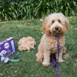 Slicker Brush -Kazoo Store Kazoo 12295 12297 SlickerBrush Medium LS5