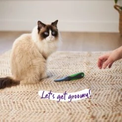 Flea Comb -Kazoo Store Kazoo 12377 FleaComb Doodles1 793ddb41 58d1 49b6 b1a4 3bb2b06db5a1