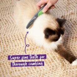 Flea Comb -Kazoo Store Kazoo 12377 FleaComb Doodles2 15901ec7 4746 44f3 a5a2 526601cbe1e5