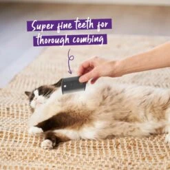 Double-Sided Flea Comb -Kazoo Store Kazoo 12380 DoubleSidedFleaComb Doodles1 7639ff82 5644 4487 a9dd efc1b9647294