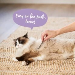 Double-Sided Flea Comb -Kazoo Store Kazoo 12380 DoubleSidedFleaComb Doodles2 d6535c81 4593 4989 85e8 6820903f63a9