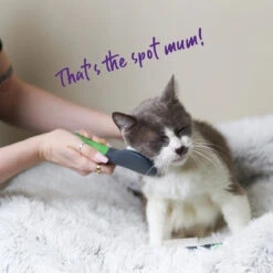 Soft Cat Brush -Kazoo Store Kazoo 12625 SoftCatBrush LS 15