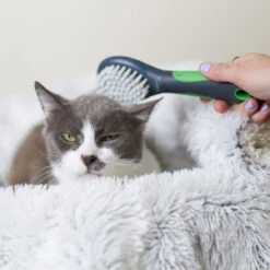 Soft Cat Brush -Kazoo Store Kazoo 12625 SoftCatBrush LS 19