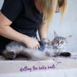 Cat Slicker Brush -Kazoo Store Kazoo 12626 CatSlickerBrush Doodles1 acc447d9 fcc7 4ae4 98e7 774f51945703