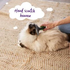 Cat Slicker Brush -Kazoo Store Kazoo 12626 CatSlickerBrush Doodles2 9ee8b284 adaa 4b49 874f dd9681120fbc