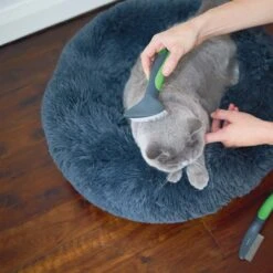 Cat Slicker Brush -Kazoo Store Kazoo 12626 CatSlickerBrush LS2