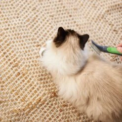 Cat Slicker Brush -Kazoo Store Kazoo 12626 CatSlickerBrush LS2 8bbca362 5f04 4414 a97e 6015afd28681