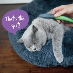 Cat Comb -Kazoo Store Kazoo 12650 CatComb Doodles3