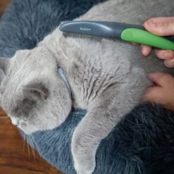 Cat Comb -Kazoo Store Kazoo 12650 CatComb LS1