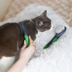 Cat Comb -Kazoo Store Kazoo 12650 CatComb LS 2