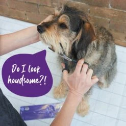 Thinning Scissors -Kazoo Store Kazoo 12776 ThinningScissors D 37