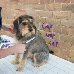 Thinning Scissors -Kazoo Store Kazoo 12776 ThinningScissors D 41