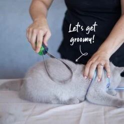 Shedding Tool -Kazoo Store Kazoo 12784 SheddingTool Doodles1