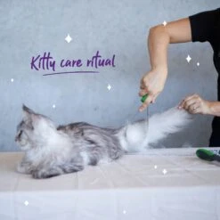 Shedding Tool -Kazoo Store Kazoo 12784 SheddingTool Doodles2