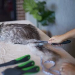 Shedding Tool -Kazoo Store Kazoo 12784 SheddingTool Doodles4