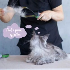 Shedding Tool -Kazoo Store Kazoo 12784 SheddingTool Doodles5