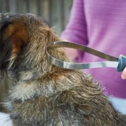 Shedding Tool -Kazoo Store Kazoo 12784 Sheddingtool D 42