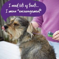 Shedding Tool -Kazoo Store Kazoo 12784 Sheddingtool D 43